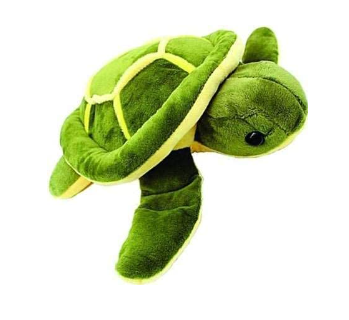 Tortoise soft toy (Imported)
